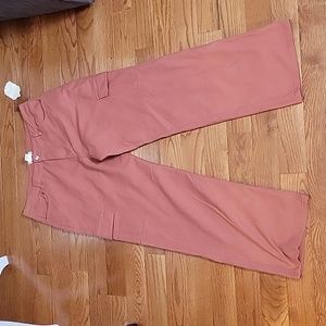 ALTAR'D STATE high rise wide leg cargo pants cedarwood NWT sz XXL